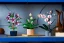 LEGO® Botanicals 11504 Lopatkovec