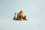 LEGO® Harry Potter™ 76448 Fawkes™: feniks Dumbledore'a