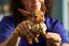 LEGO® Pokémon 72151 Eevee