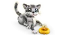 LEGO® Creator 31163 Hravá mačka