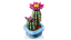 LEGO® Botanicals 11509 Kvetoucí kaktus