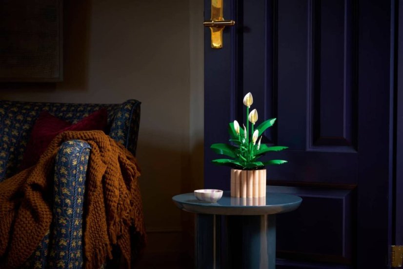 LEGO® Botanicals 11504 Lopatkovec