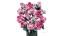 LEGO® Botanicals 10374 Kytica ružových ruží