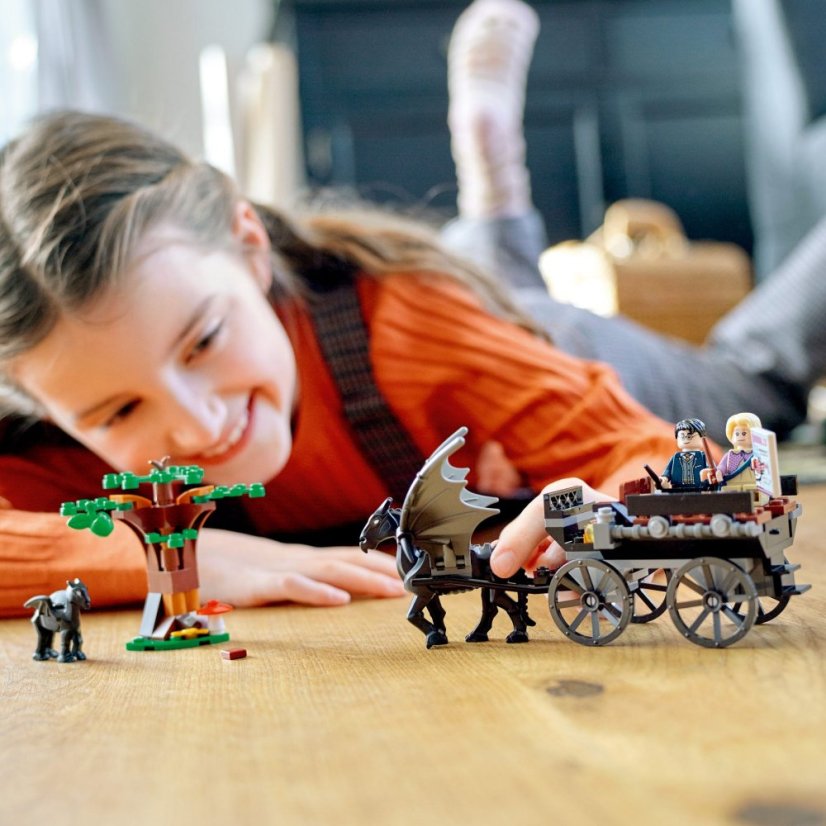 LEGO® Harry Potter 76400 Bradavice: Kočár a testrálové