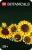 LEGO® Botanicals