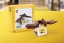 LEGO® 6349153 Shenzhen LEGO Store Grand Opening - Dapeng Bird