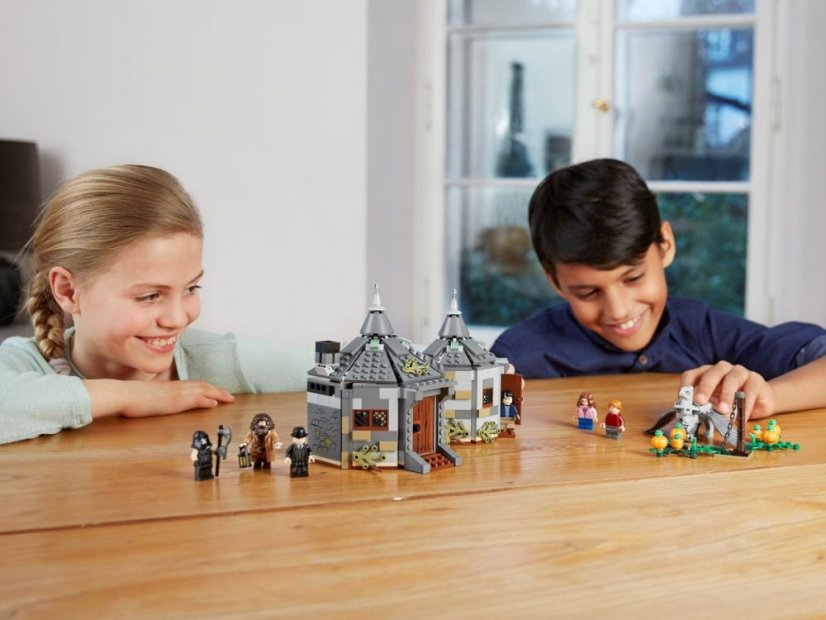 LEGO® Harry Potter 75947 Hagridova bouda: Záchrana Klofana