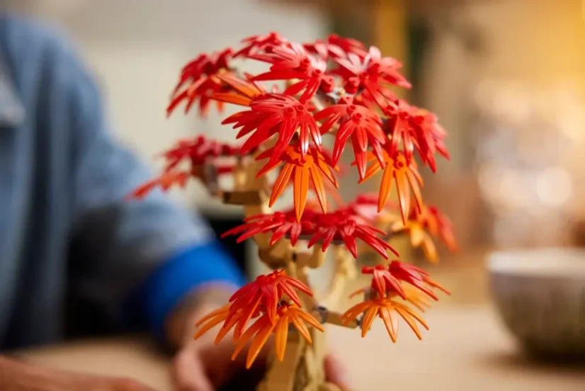 LEGO® Botanicals 10348 Bonsaj – Japonský červený javor