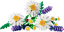 LEGO® Botanicals 11508 Kopretiny