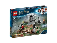 LEGO® Harry Potter™ 75965 The Rise of Voldemort™
