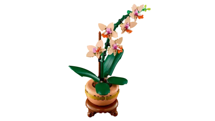 LEGO® Botanicals 10343 Mała orchidea