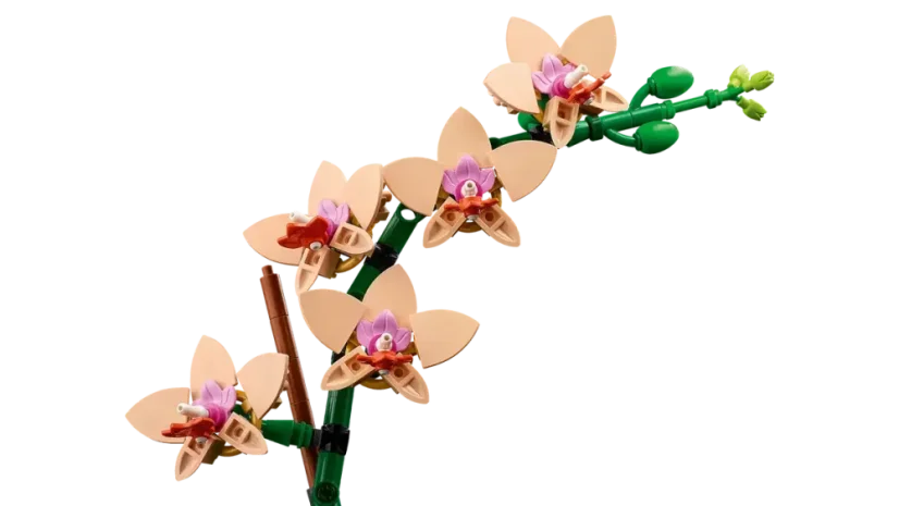 LEGO® Botanicals 10343 Mała orchidea