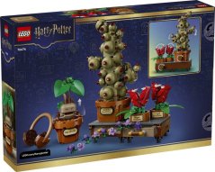 LEGO® Harry Potter™ 76474 Rośliny z lekcji zielarstwa w Hogwarcie