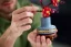 LEGO® Botanicals 10369 Kwiat śliwy