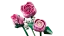 LEGO® Botanicals 10374 Kytica ružových ruží