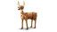 LEGO® Creator 31166 Krásný kůň