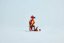 LEGO® Harry Potter™ 76448 Fawkes™: feniks Dumbledore'a