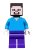min009 Steve