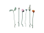 LEGO® Botanicals 10342 Krásná kytice růžových květin