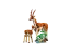 LEGO® Creator 31150 Wild Safari Animals
