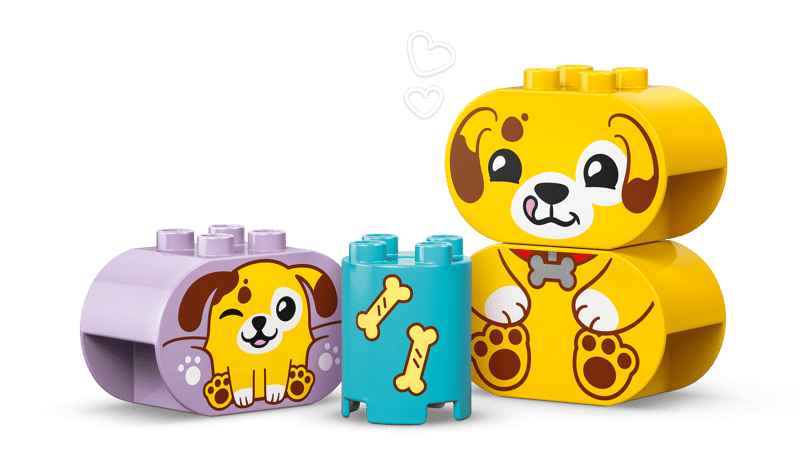 LEGO® DUPLO® 10441 Třídění tvarů Domeček pro štěňátka