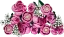LEGO® Botanicals 10374 Kytica ružových ruží