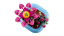 LEGO® Botanicals 11509 Kvetoucí kaktus