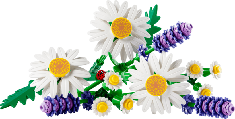 LEGO® Botanicals 11508 Kopretiny
