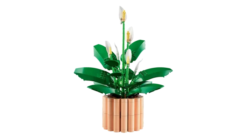 LEGO® Botanicals 11504 Lopatkovec