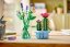 LEGO® Botanicals 11509 Kvetoucí kaktus