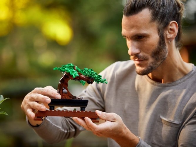 LEGO® Creator 10281 Drzewko bonsai