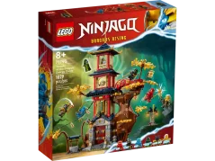 LEGO® NINJAGO® 71795 Świątynia smoczej energii