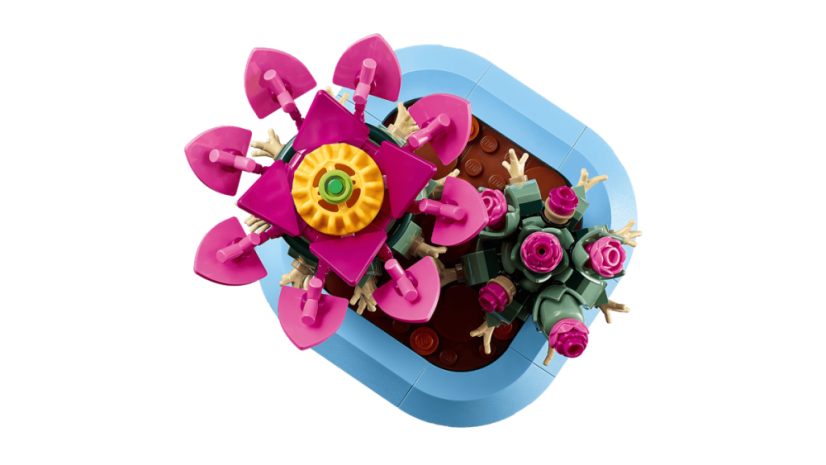 LEGO® Botanicals 11509 Kvetoucí kaktus