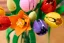 LEGO® Botanicals 11501 Kytica tulipánov