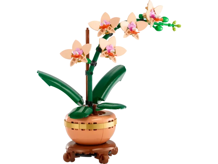 LEGO® Botanicals 10343 Mała orchidea