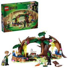 LEGO® Wicked 75687 Elphaba's Retreat