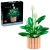 LEGO® Botanicals 11504 Skrzydłokwiat