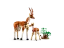 LEGO® Creator 31150 Wild Safari Animals