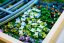 LEGO® Art 31220 Claude Monet – Most nad jazierkom s leknami