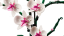 LEGO® Creator Expert 10311 Orchidea