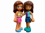 LEGO® Friends 41677 Leśny wodospad