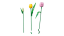 LEGO® Botanicals 11501 Kytica tulipánov