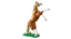 LEGO® Creator 31166 Krásný kůň