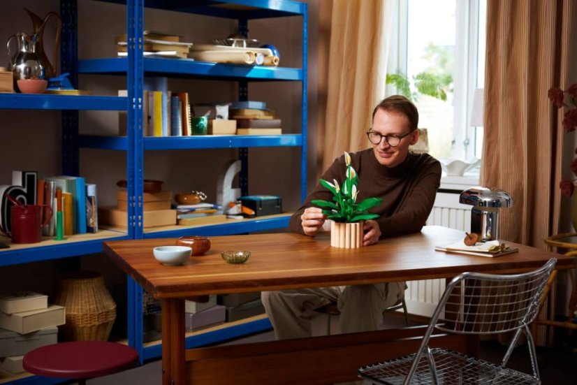 LEGO® Botanicals 11504 Lopatkovec