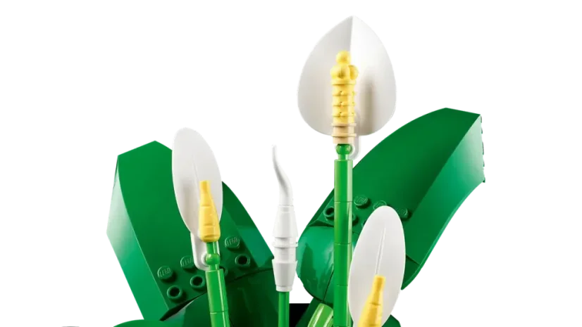 LEGO® Botanicals 11504 Lopatkovec