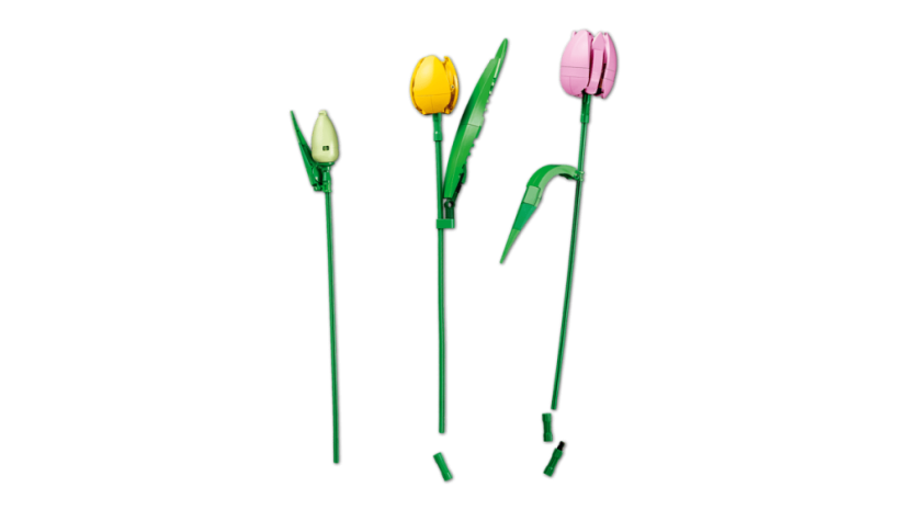 LEGO® Botanicals 11501 Kytica tulipánov