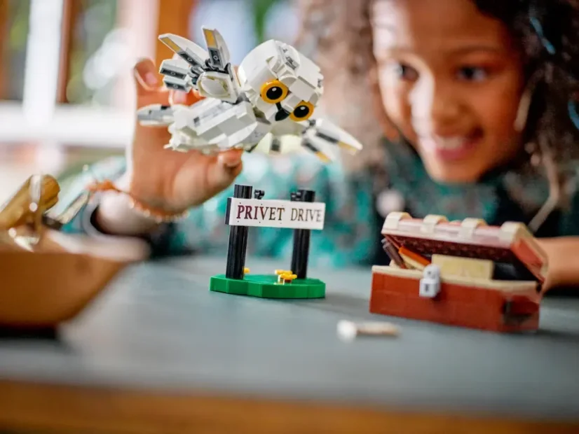 LEGO® Harry Potter 76425 Hedvika na návštěvě Zobí ulice 4