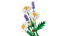 LEGO® Botanicals 11508 Margarétky