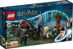 LEGO® Harry Potter 76400 Hogwarts™ Carriage and Thestrals