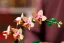 LEGO® Botanicals 10343 Mała orchidea
